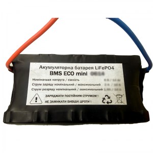 6 В 12 Ач литий-железо-фосфатный аккумулятор BMS ECO mini 0612