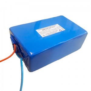 24 В 18 Ач литий-железо-фосфатный аккумулятор BMS ECO mini 2418